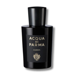 Signatures of the Sun Ambra | Eau de Parfum