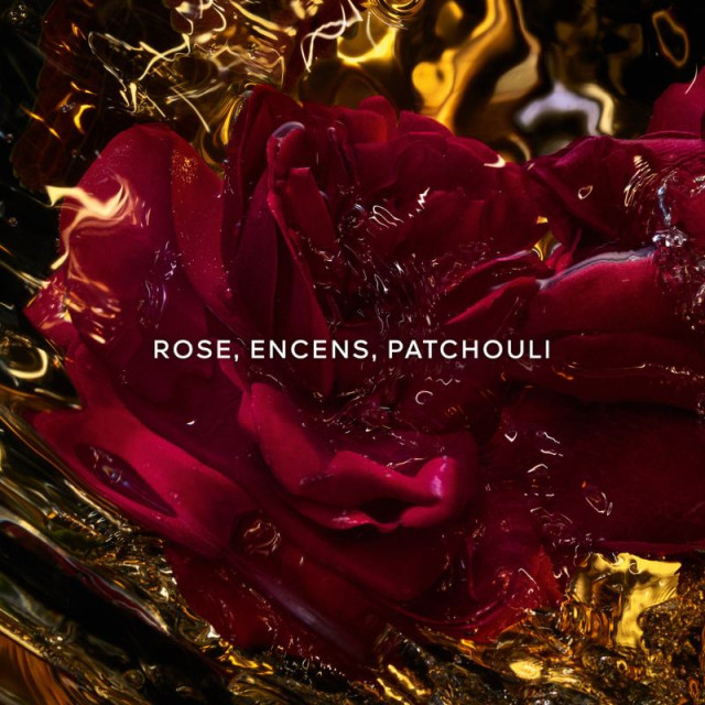 Absolus Allegoria Rose Amira | Eau de Parfum