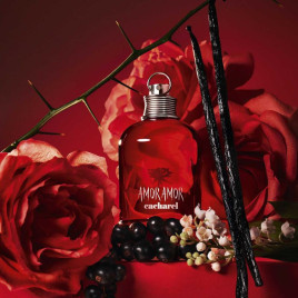 Amor Amor | Coffret Eau de Toilette et son lait pour le corps